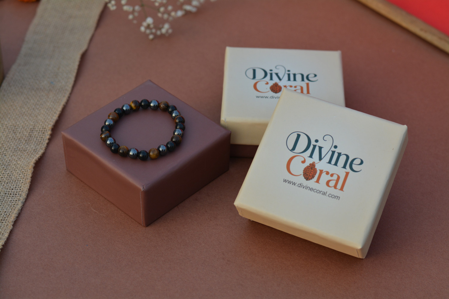 Divine Coral promo