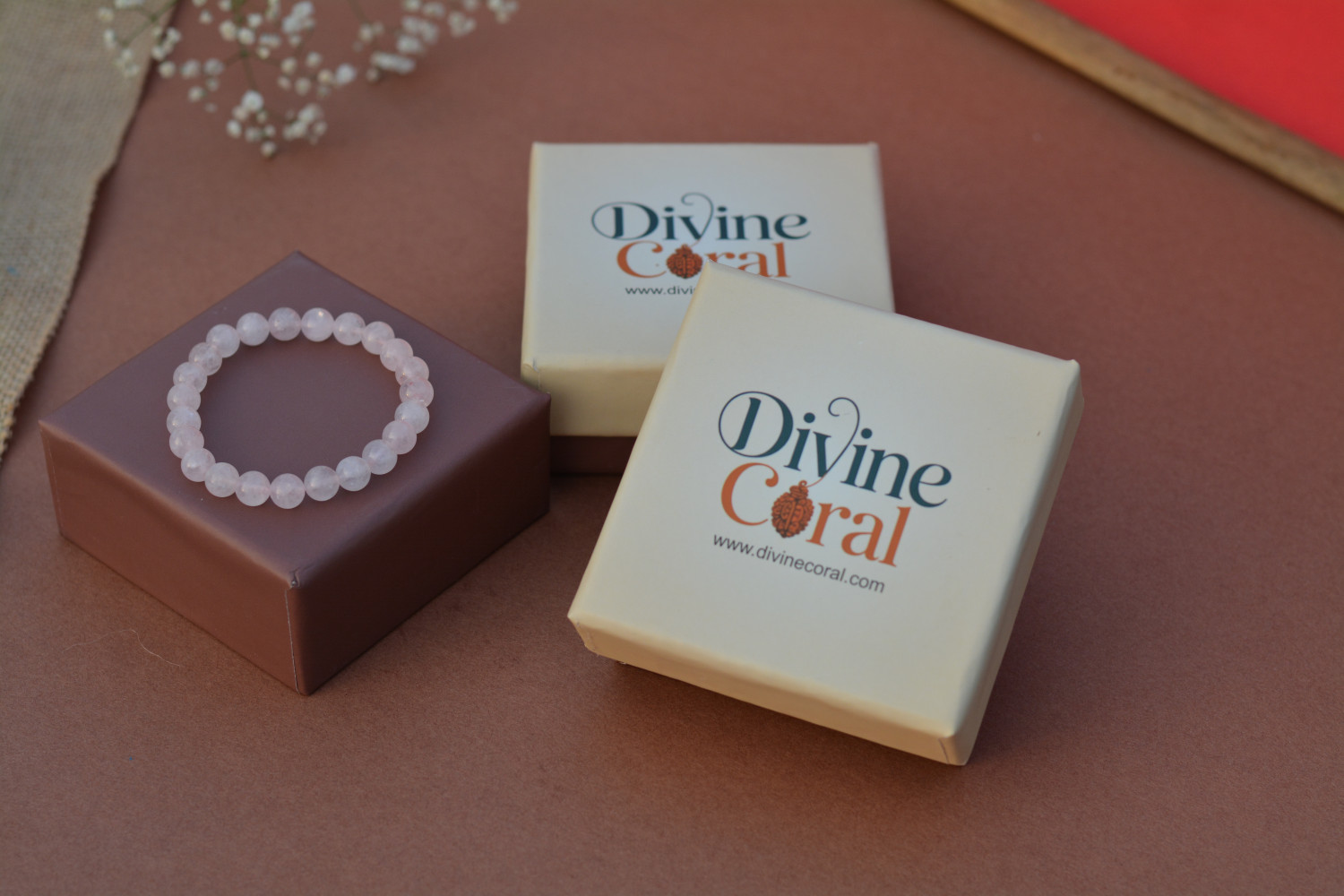 Divine Coral promo