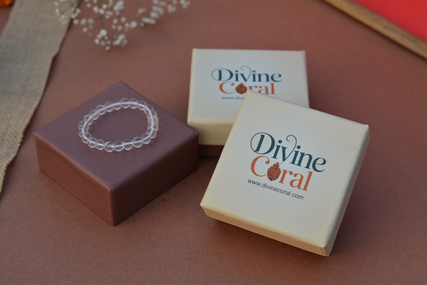 Divine Coral promo